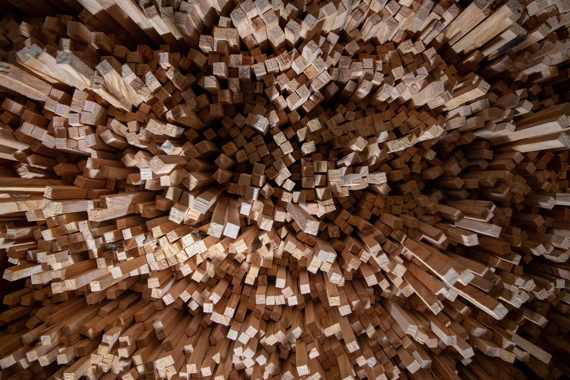 Arrel Ancona azienda 3